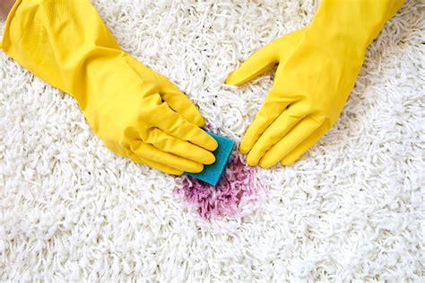 How to remove tough stains from your carpet with super magic stain remover foam